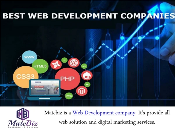 matebiz is a web development company it s provide