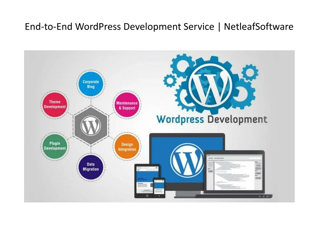 end to end wordpress development service