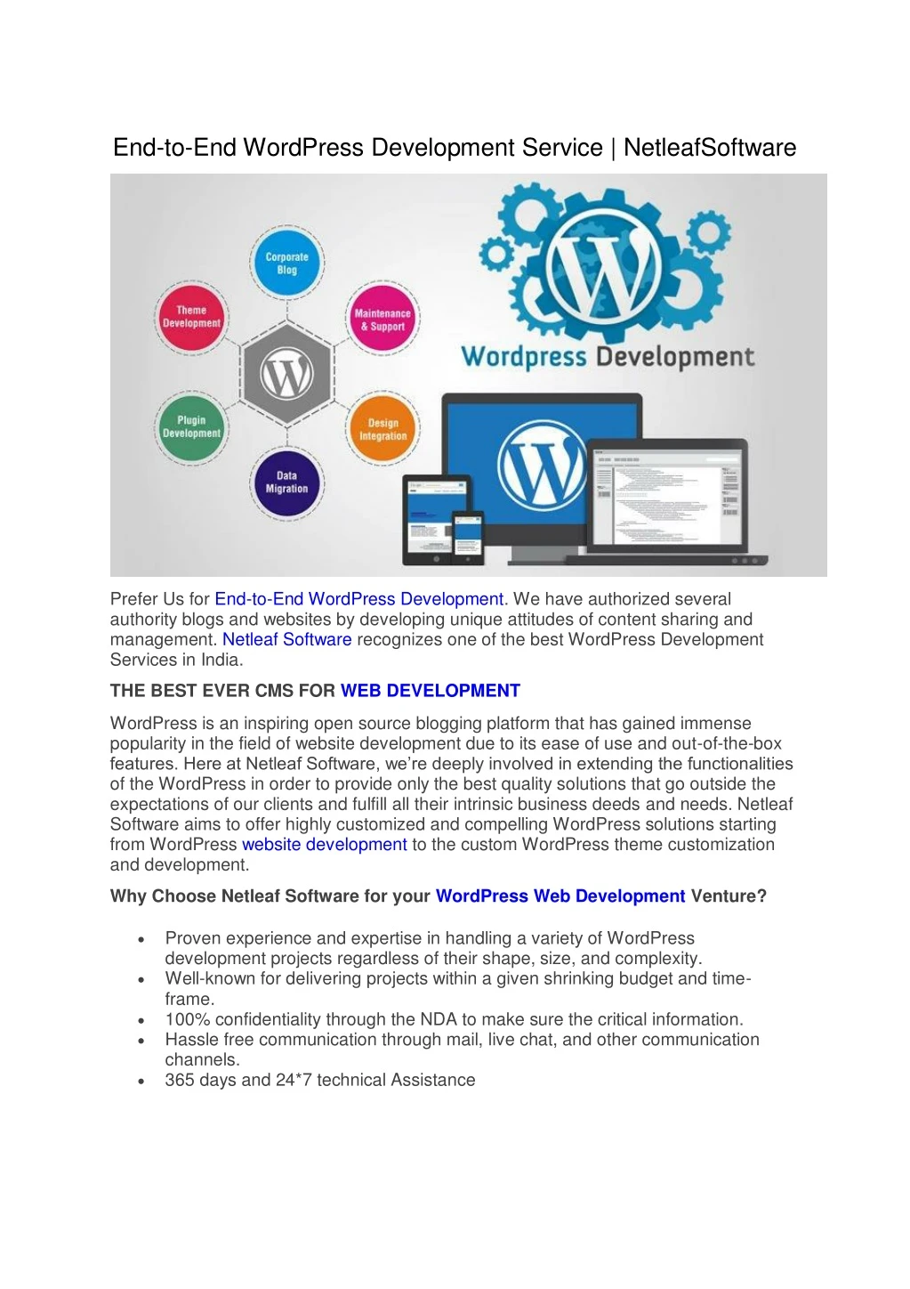 end to end wordpress development service