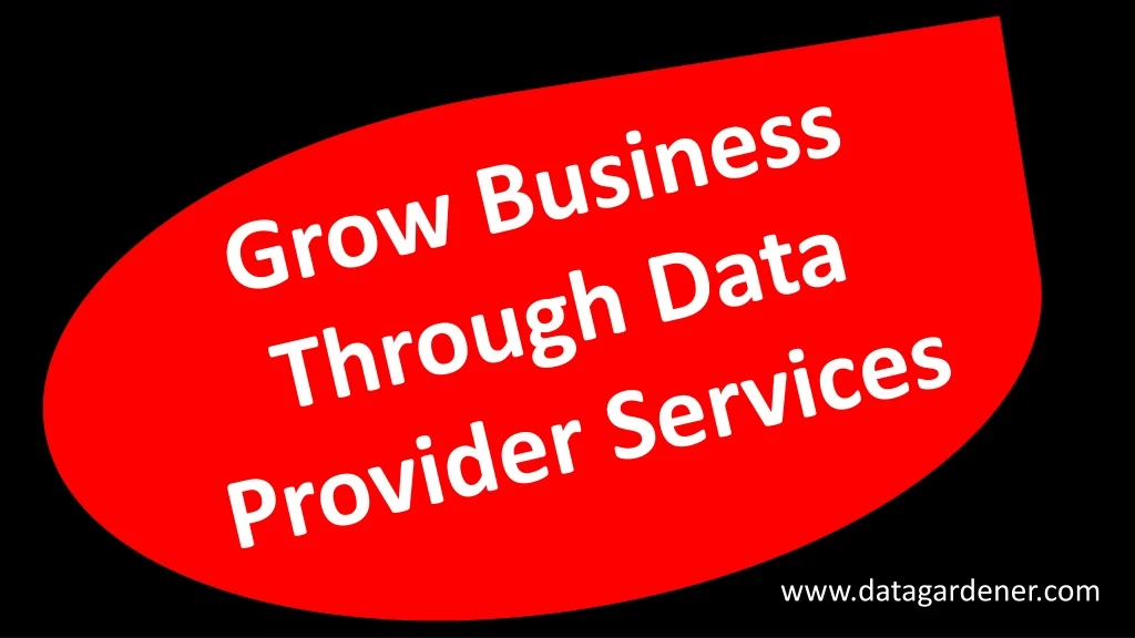 grow business through data provider services