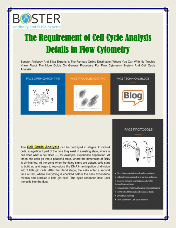 Cell Cycle Analysis