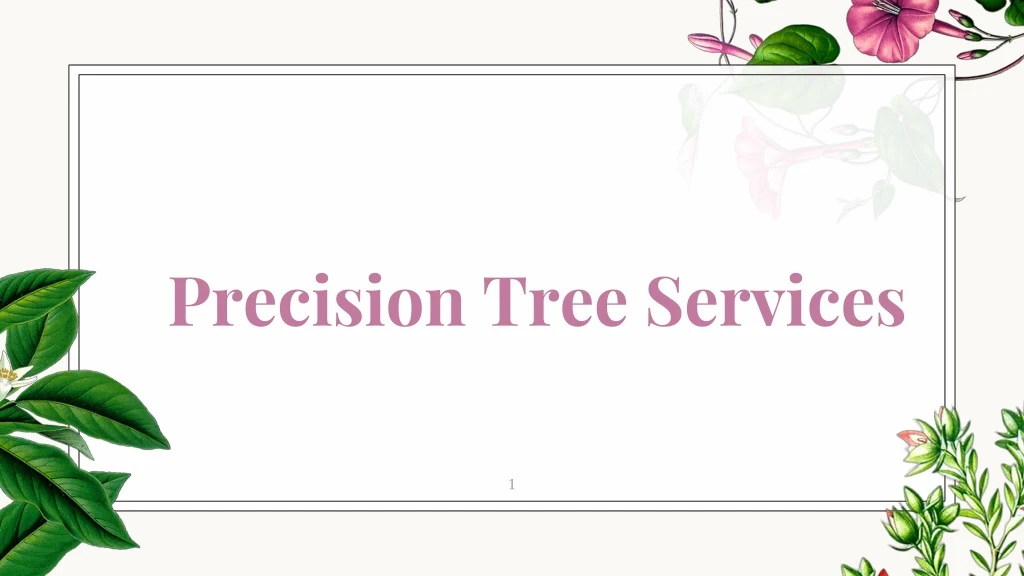 precision tree services