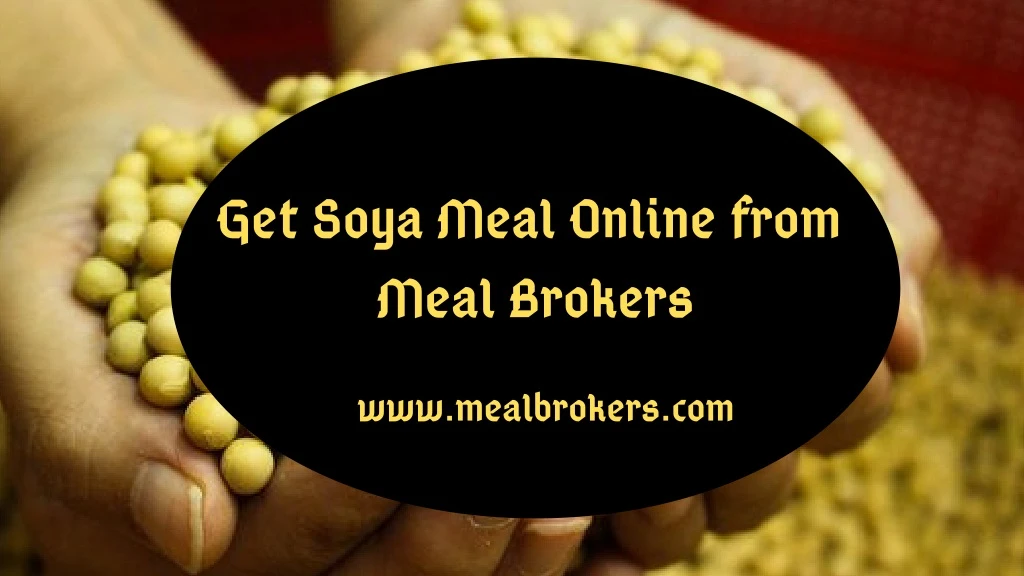get soya meal online from meal brokers