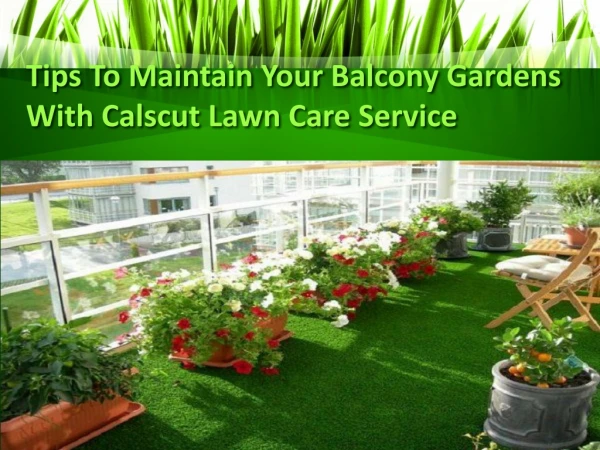 Tips To Maintain Your Balcony Gardens With Calscut Lawn Care Service