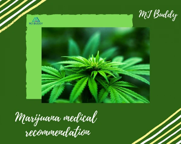 Medical Marijuana Recommendation for mental health | Mj Buddy
