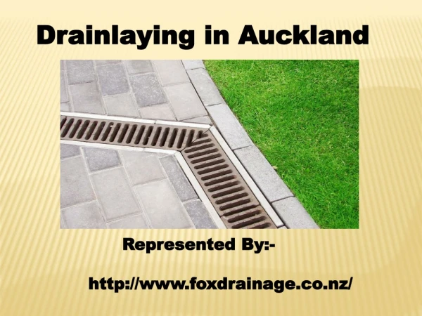 Drainlaying in Auckland - Fox Drainage