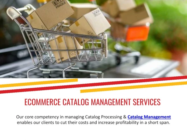 ECommerce Catalog Management Services - Max BPO