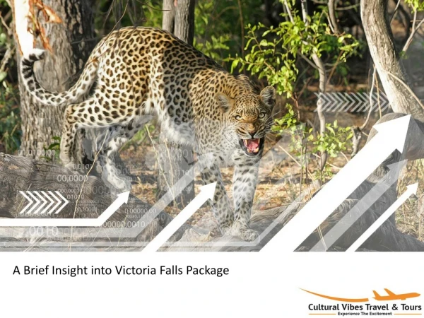 A Brief Insight into Victoria Falls Package