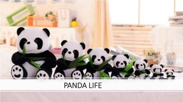 Mega Discount Offers on Panda Bear Accessories