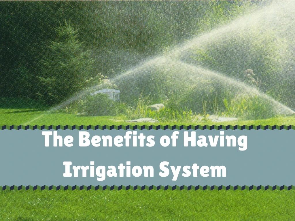 the benefits of having irrigation system