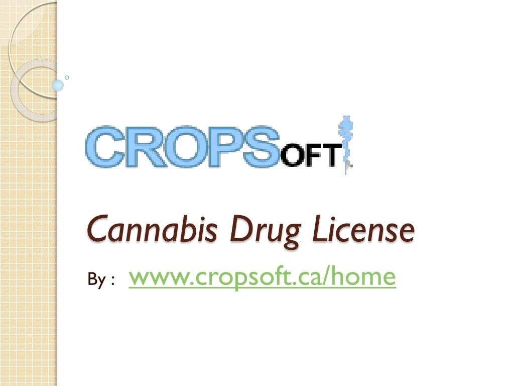 cannabis drug license