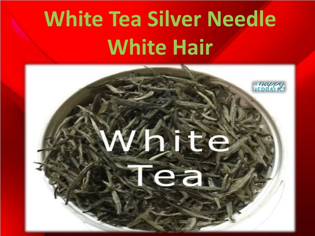white tea silver needle white hair