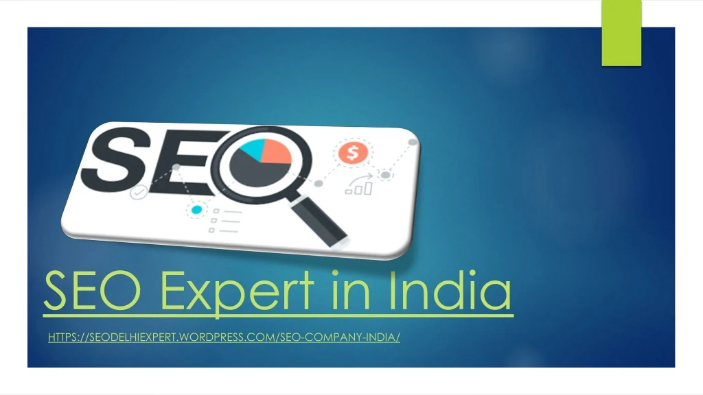 seo expert in india