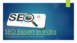 SEO Expert in India