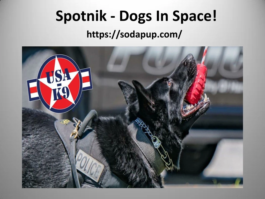 spotnik dogs in space https sodapup com