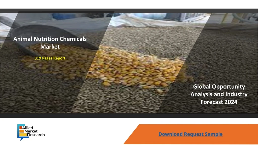 animal nutrition chemicals market 319 pages report