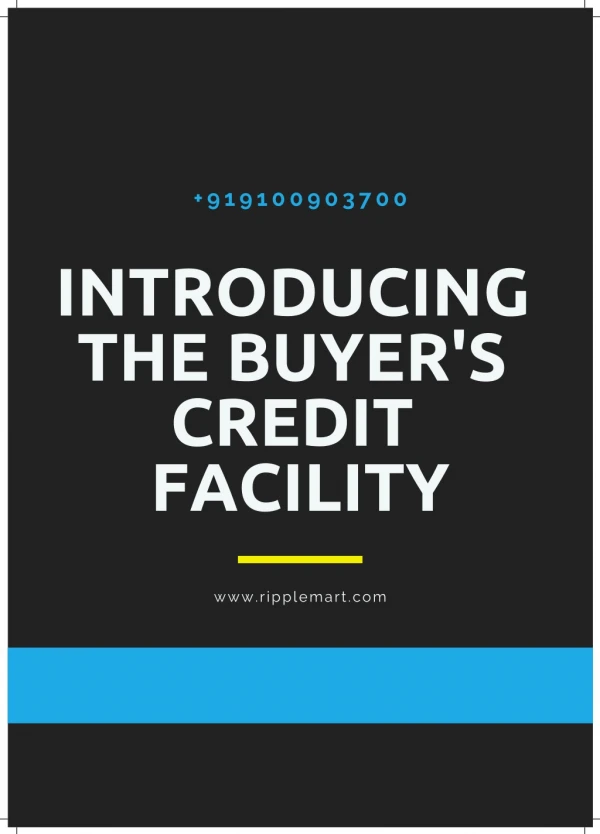 INTRODUCING THE BUYER'S CREDIT FACILITY