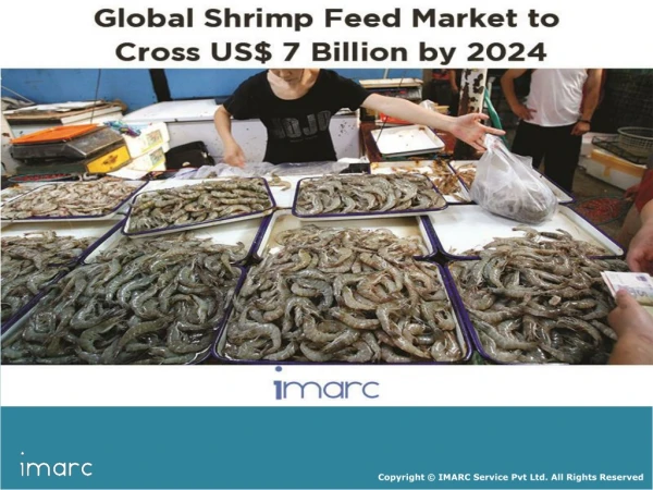 Shrimp Feed Market Cross US$ 7 Billion by 2024 and CAGR 3.4%