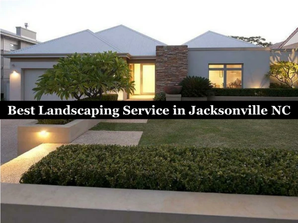 Best Landscaping Service in Jacksonville NC