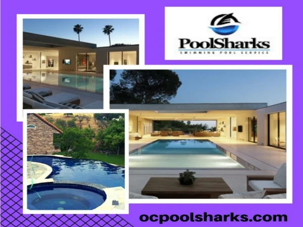 Swimming Pool Maintenance and Service - Pool Sharks, Costa Mesa Pool Maintenance Services,
