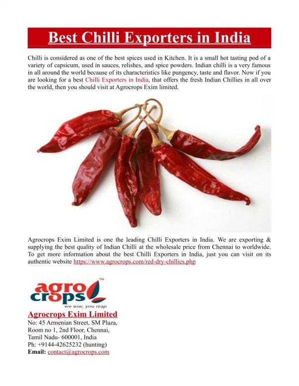 Best Chilli Exporters in India