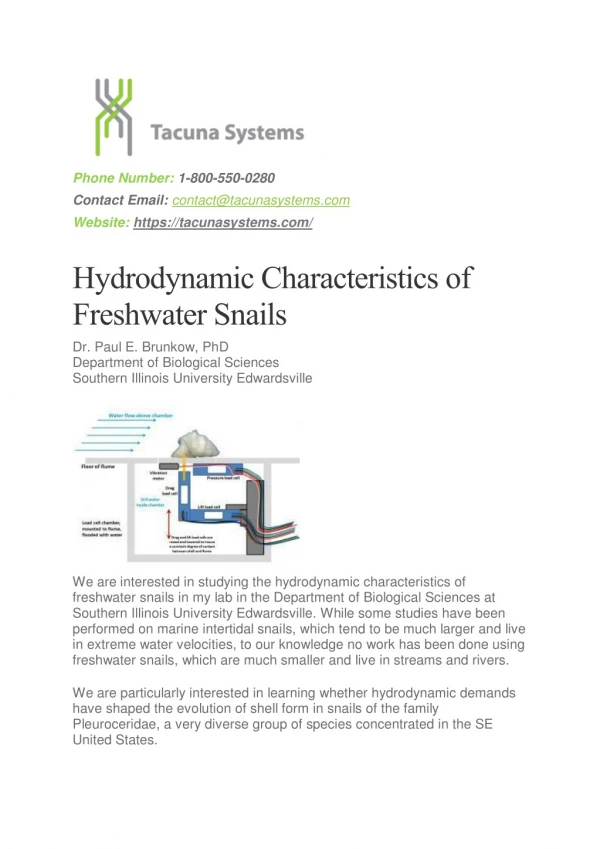 Hydrodynamic Characteristics of Freshwater Snails