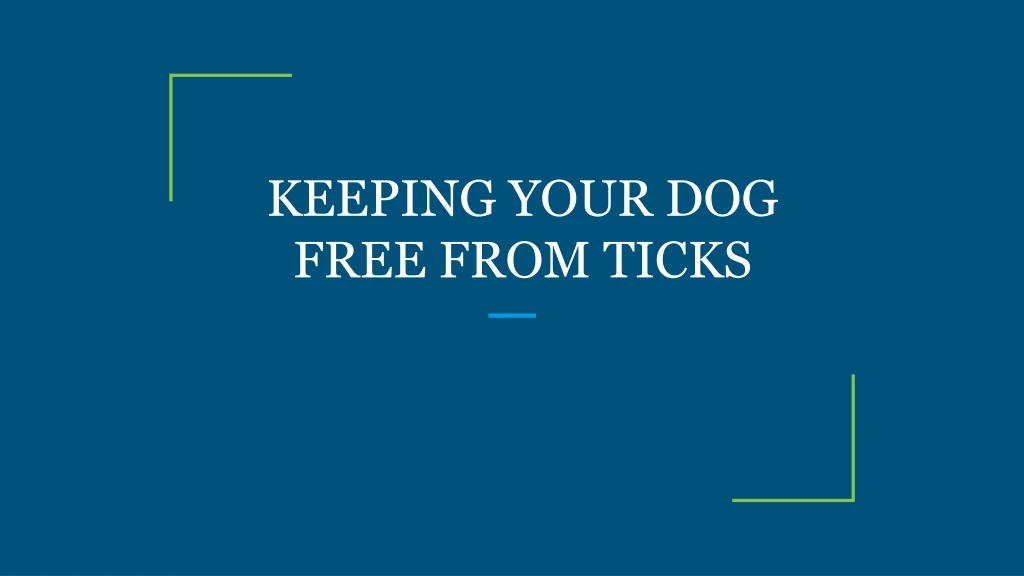 keeping your dog free from ticks