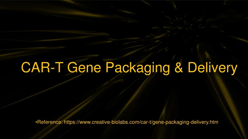 car t gene packaging delivery