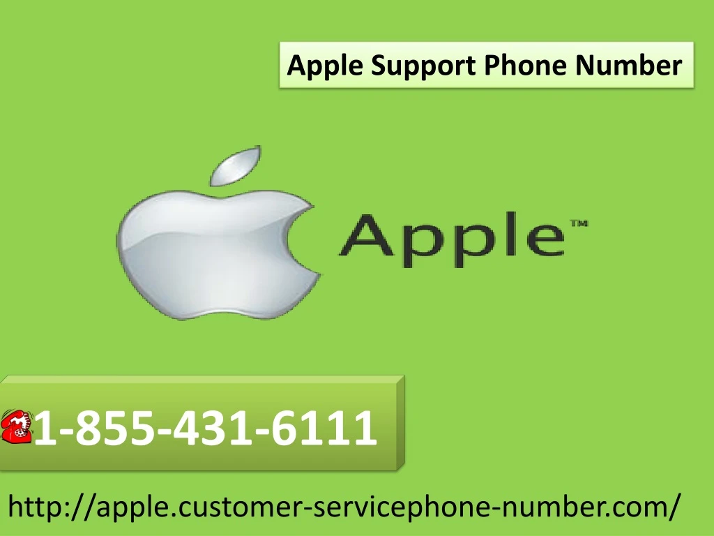 apple support phone number