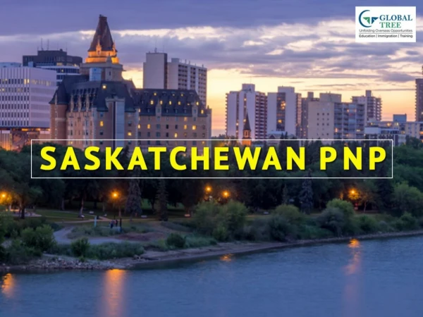 Saskatchewan Immigrant Nominee Program Consultants