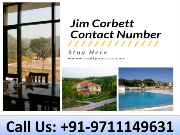 call us 91 9711149631