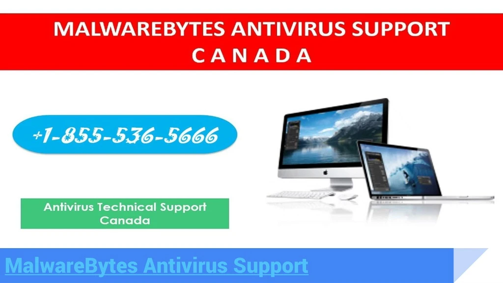 malwarebytes antivirus support