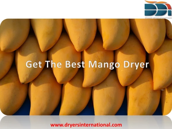 Get The Best Mango Dryer