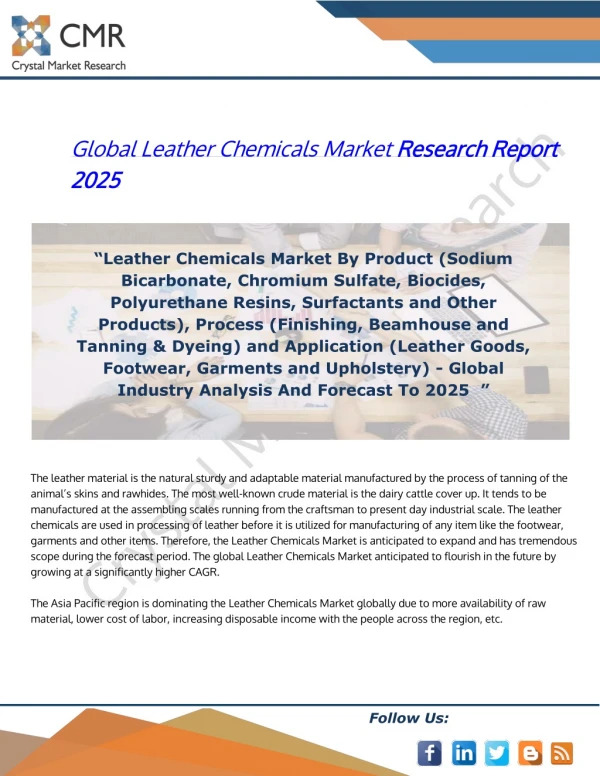Global leather chemicals market research report 2025