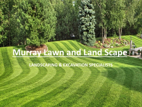 Choose the Best Lawn Care Services in Ottawa, ON
