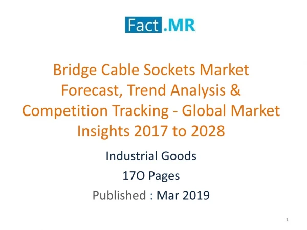 Bridge Cable Sockets Market Competition Tracking - Key Market Insights 2017 to 2028