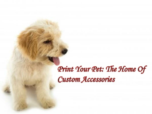 Print Your Pet: The Home Of Custom Accessories