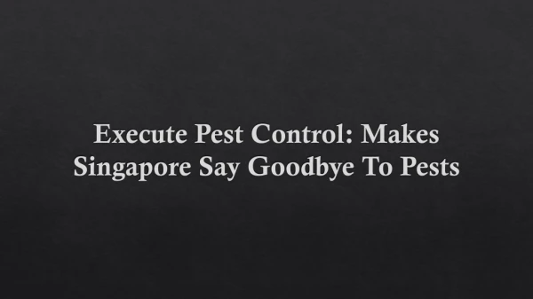 Execute Pest Control: Makes Singapore Say Goodbye To Pests