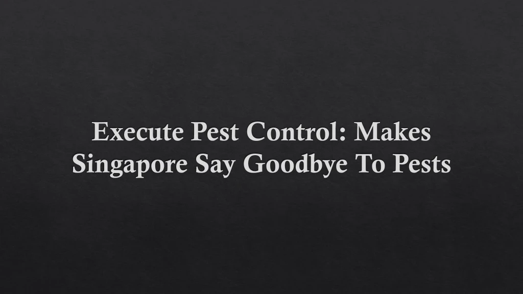 execute pest control makes singapore say goodbye to pests