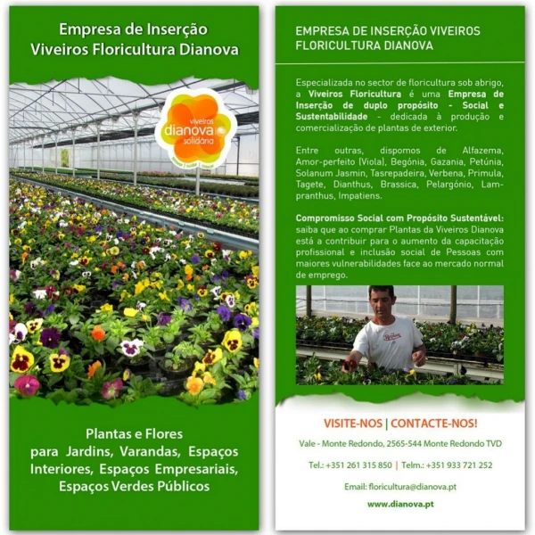 viveiros floricultura