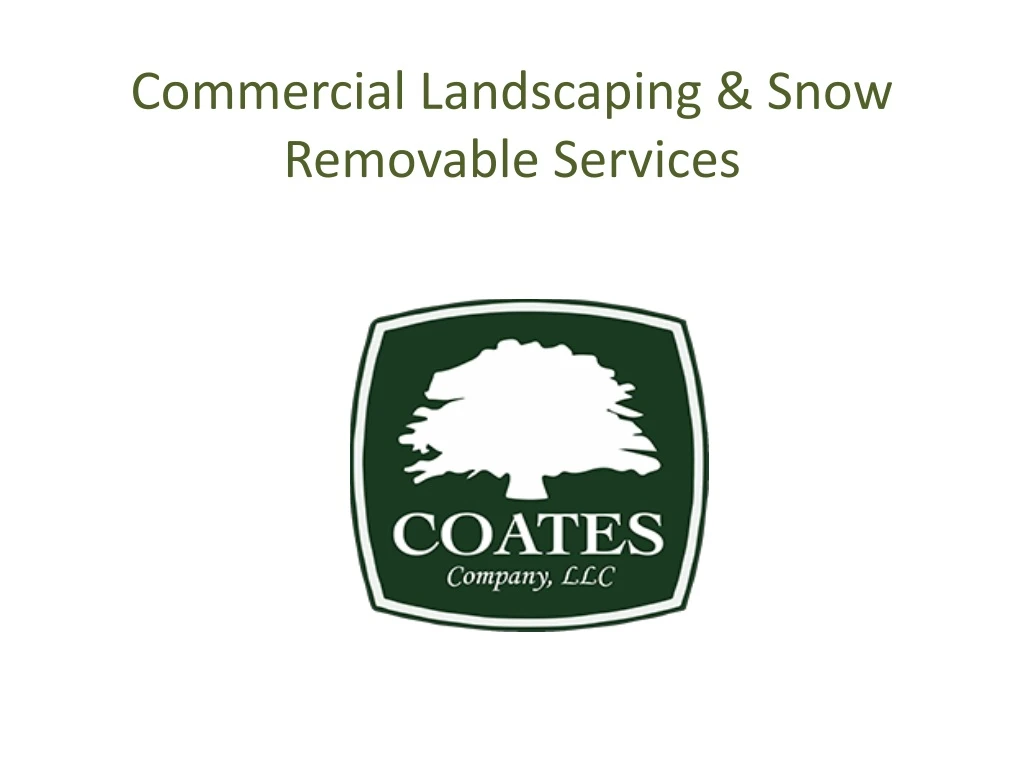 commercial landscaping snow removable services