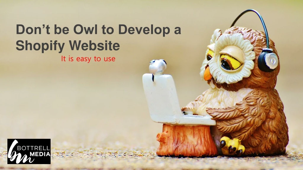 don t be owl to develop a shopify website
