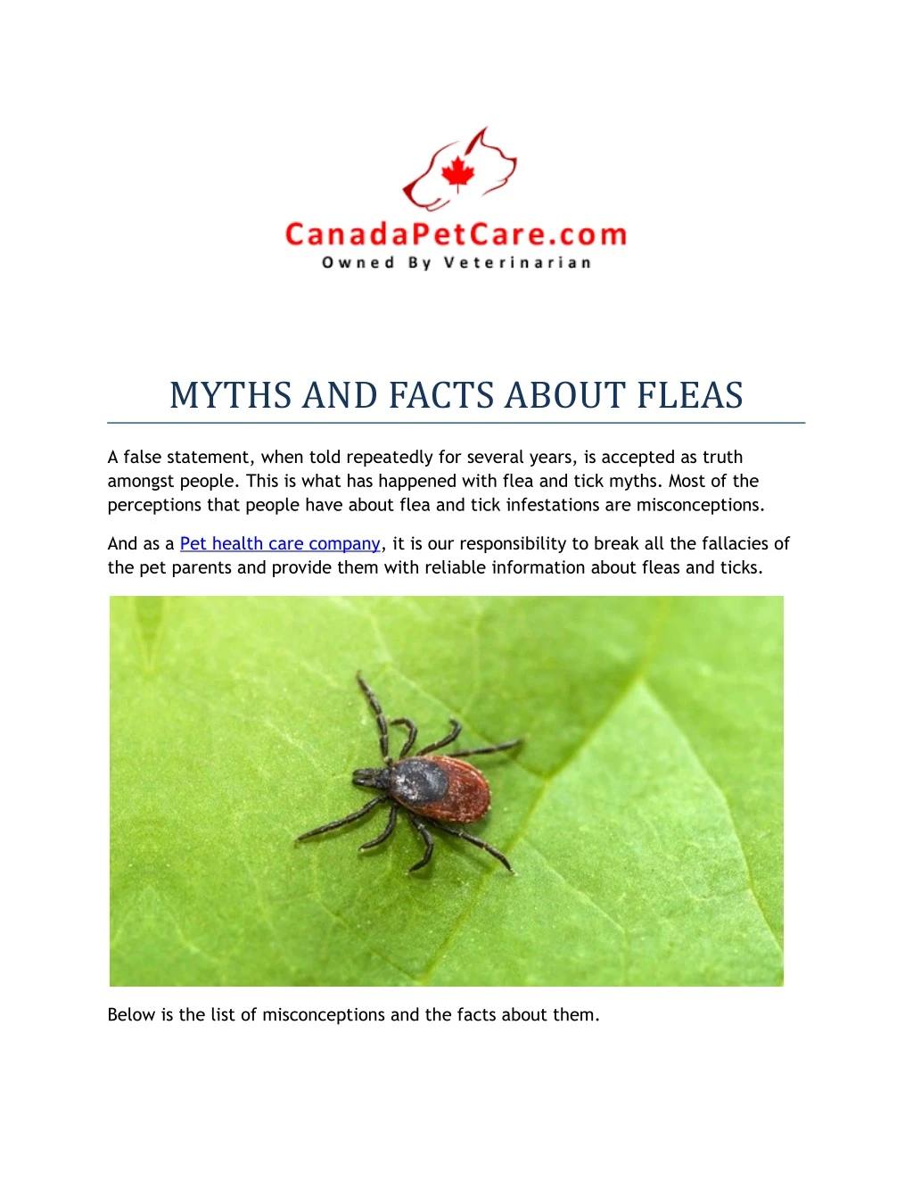 myths and facts about fleas