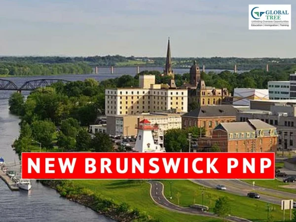 New Brunswick Immigration | NB PNP Consultants