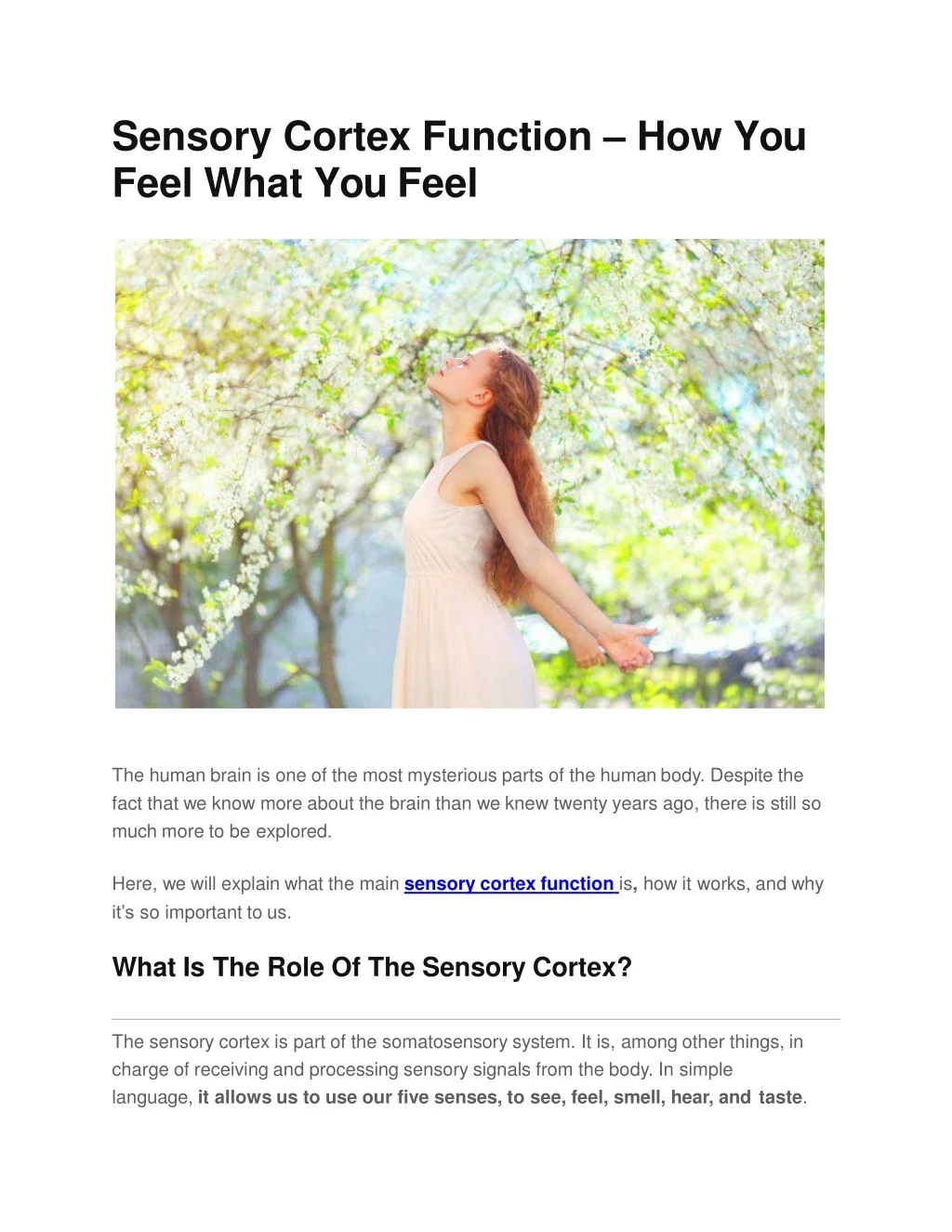 sensory cortex function how you feel what you feel