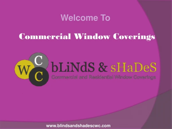The Styling Commercial Window Blinds