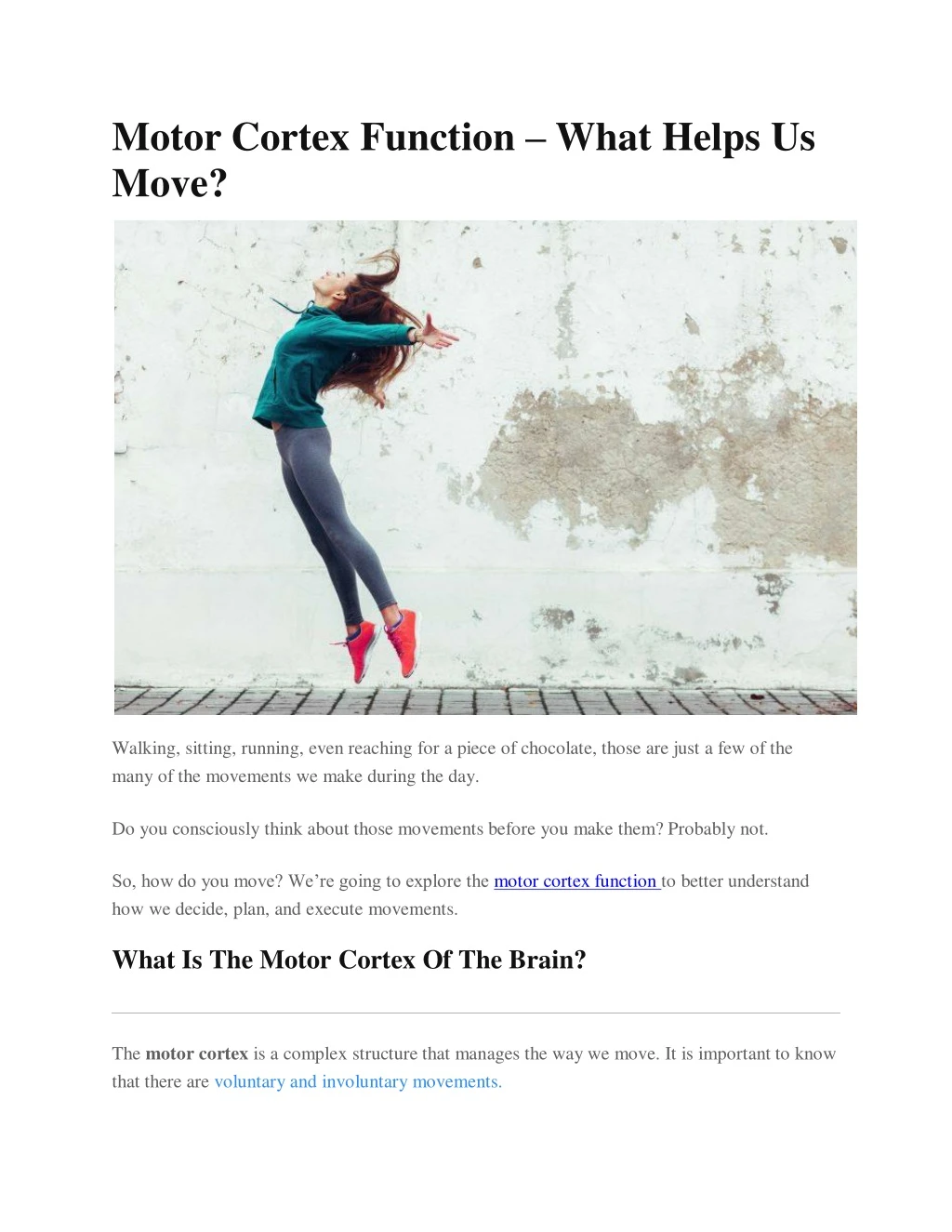 motor cortex function what helps us move