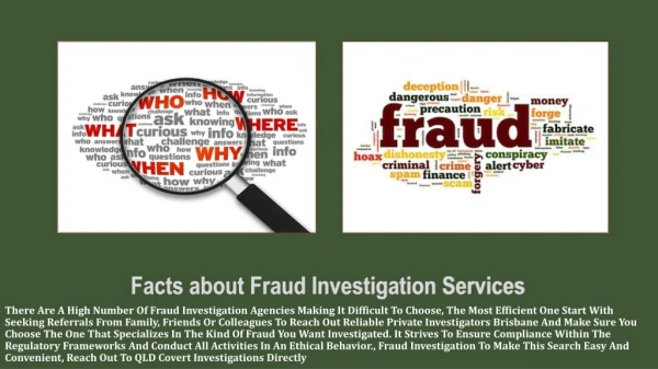Facts about Fraud Investigation Services