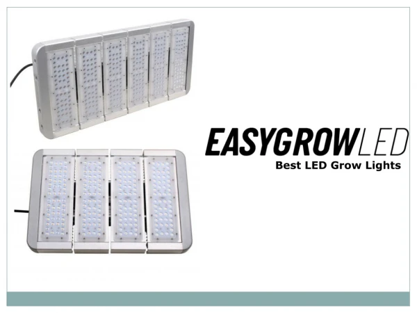 Best LED Grow Lights