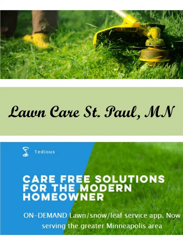 Lawn Care St. Paul, MN